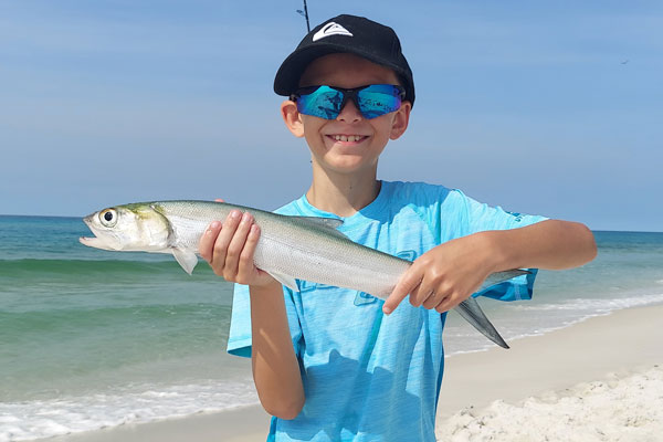 Understand how surf beaches work and catch more fish - SeaAngler
