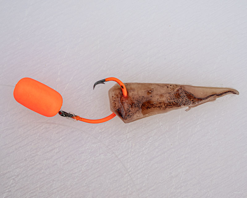 A small strip of squid rigged on an orange circle hook with a float